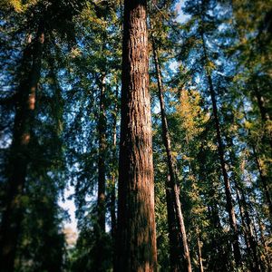 Image post by @joenagraphy on Instagram