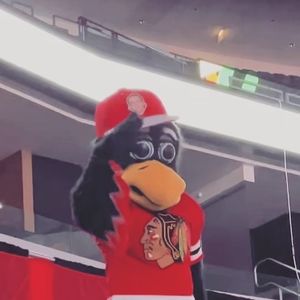 Image post by @bhawktommyhawk on Instagram
