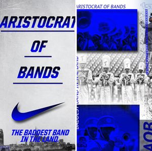 Image post by @tsutigers on Instagram