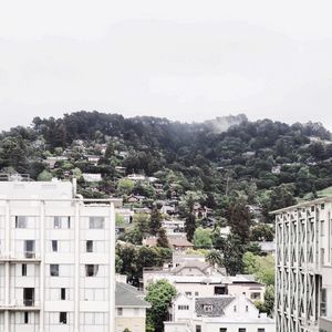Image post by @alexhaobao on Instagram