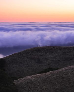 Image post by @kqed on Instagram