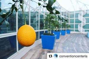 Image post by @aegworldwide on Instagram