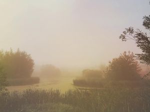 Image post by @glenroy on Instagram