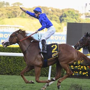 Image post by @australianturfclub on Instagram
