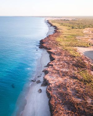 Image post by @dronepals on Instagram