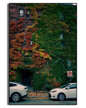 Image post by @mattynoontime on Instagram