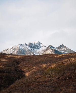 Image post by @drewpeden on Instagram