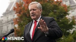 Video post by @msnbc on YouTube