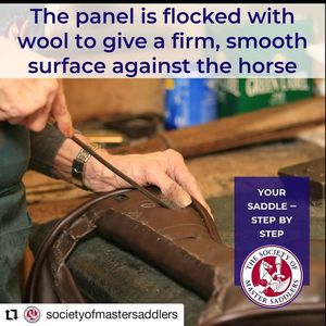 Image post by @performancesaddlefitssthsydney on Instagram