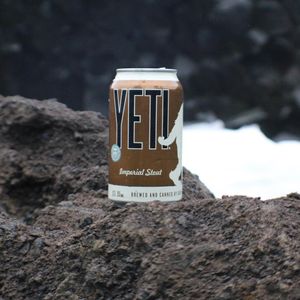 Image post by @greatdividebrew on Instagram