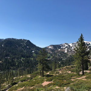 Image post by @jessicagaffney on Instagram