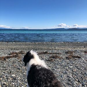 Image post by @pvellner on Instagram
