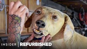 Video post by @insider on YouTube