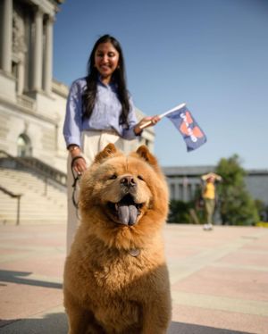 Image post by @uva on Instagram