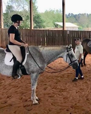 Image post by @appalachianequestrian on Instagram