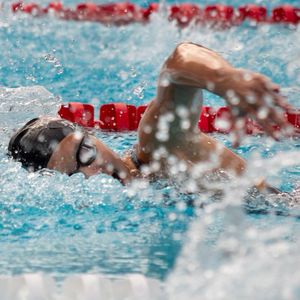 Image post by @terrierswimdive on Instagram