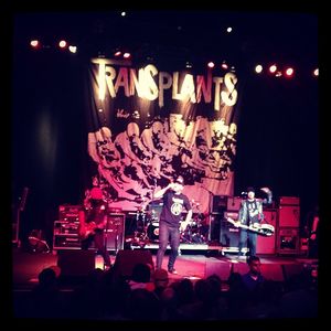 Image post by @thewarfield on Instagram
