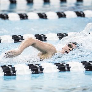 Image post by @purduewswimdive on Instagram