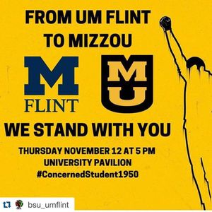 Image post by @sgumflint on Instagram