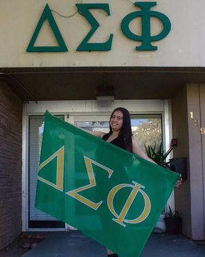 Image post by @deltasigsjsu on Instagram