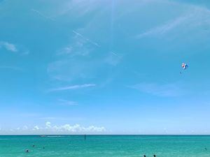 Image post by @visitsarasotacounty on Instagram