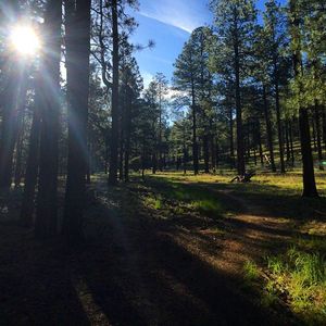 Image post by @nauflagstaff on Instagram