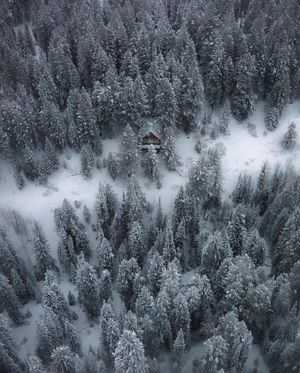 Image post by @aaron.k.baker on Instagram