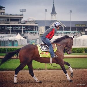 Image post by @spendthriftfarm on Instagram