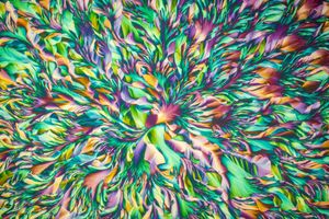 Image post by @optica.worldwide on Instagram