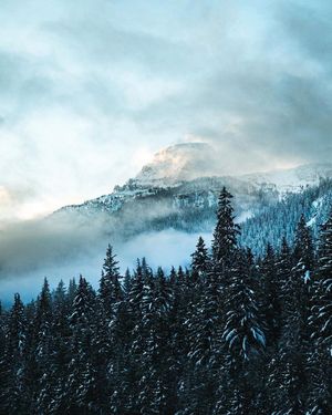 Image post by @bestwestern on Instagram