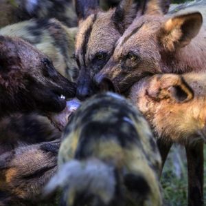 Image post by @natgeo on Instagram