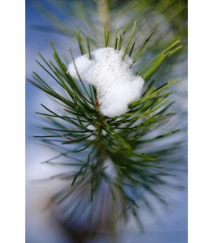 Image post by @fotodioxpro on Instagram