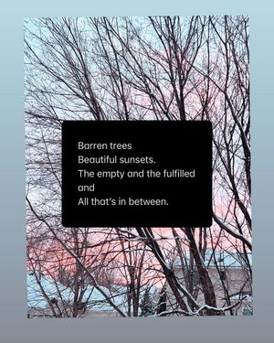 Image post by @lifesadiscoball on Instagram