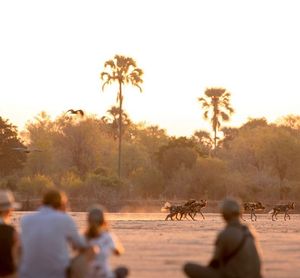 Image post by @chiawasafaris on Instagram