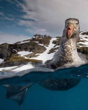 Image post by @natgeo on Instagram