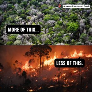 Image post by @greenpeace on Instagram