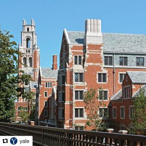Image post by @yalevolleyball on Instagram
