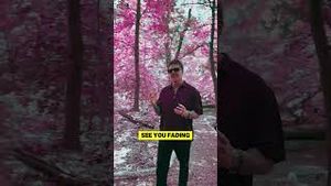 Video post by @paparoach on YouTube