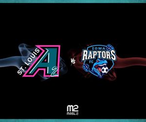 Image post by @stlouisambush on Instagram