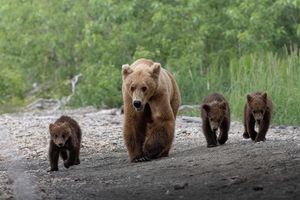 Image post by @nationalparkscollective on Instagram