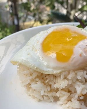 Image post by @musangseattle on Instagram