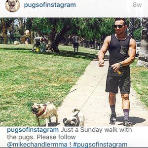 Image post by @mikechandlermma on Instagram