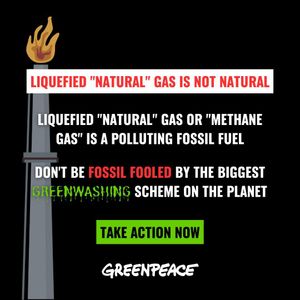 Image post by @greenpeaceusa on Instagram