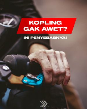 Image post by @boldriders on Instagram