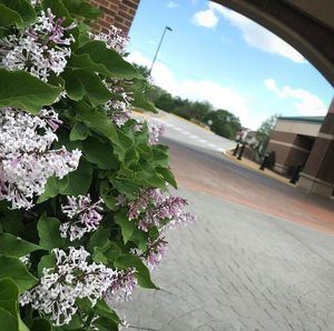 Image post by @stcharlesconven on Instagram