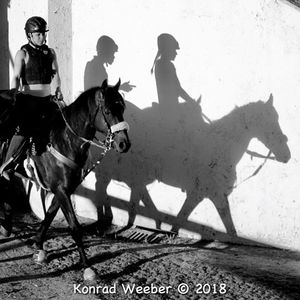 Image post by @thebloodhorse on Instagram