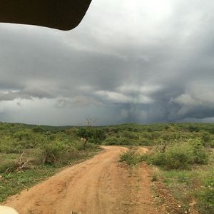 Image post by @allasventer on Instagram