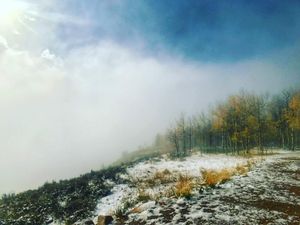 Image post by @granbyranch on Instagram