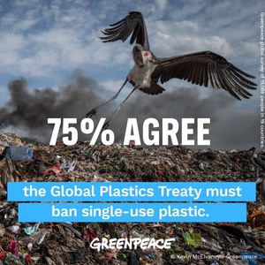 Image post by @greenpeace on Instagram