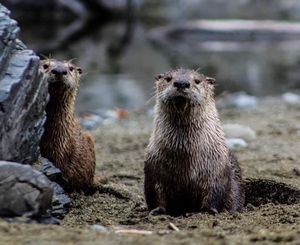 Image post by @nationalparkservice on Instagram